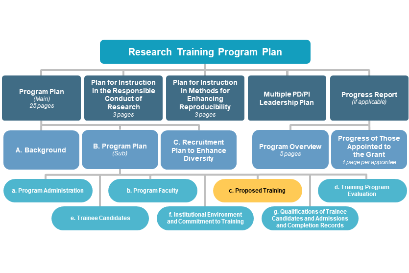 c. Proposed Training diagram
