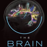 The Brain Iniatiative