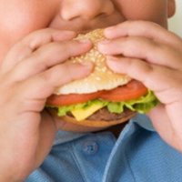 Young Latino children from immigrant households face greatest obesity risk, study finds