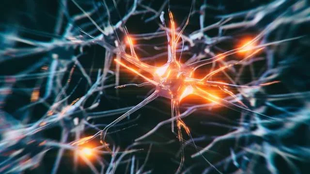 Neuron Unsplash