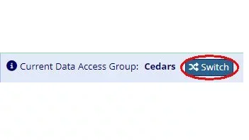 DAG Switcher for REDCap site