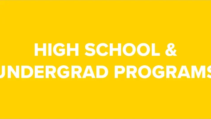 High school and undergraduate programs