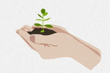 Hands holding soil with a small green plant sprouting from it.