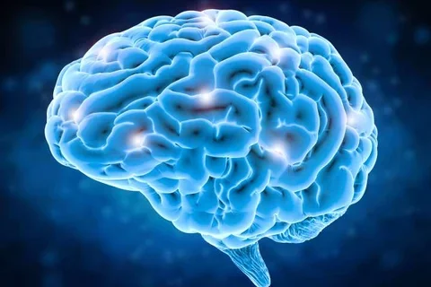 Brain_astrocyte