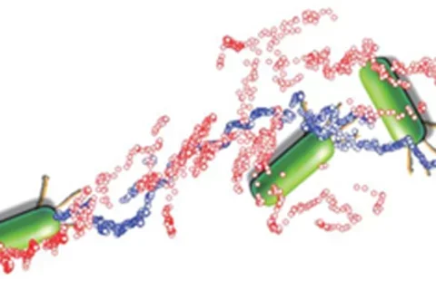 UCLA Engineering to Lead $1.6 Million Study of Bacteria Colonies