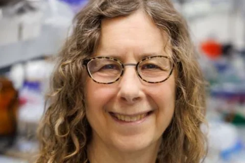 NACTS spotlights role of CTSI voucher program in telomerase discovery