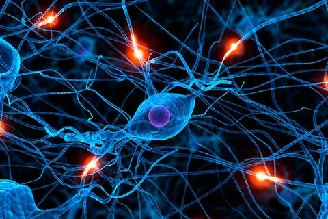 UC Launches New $4M Alzheimer's Disease Initiative.