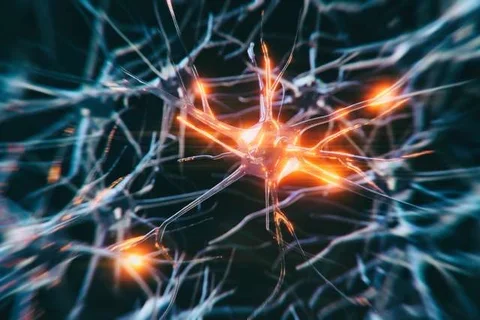 Neuron Unsplash