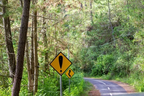 Winding road with caution signs