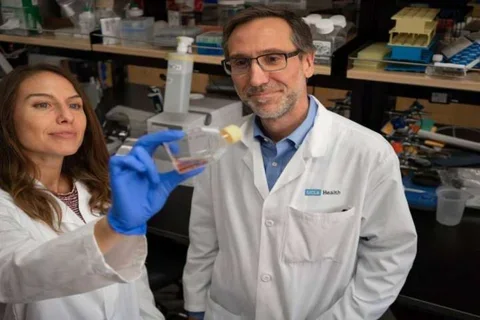 UCLA builds on history of success developing novel immunotherapies to treat cancer