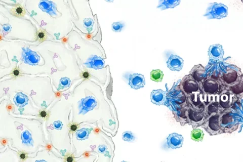 Tiny implantable device designed by UCLA scientists helps kill cancer