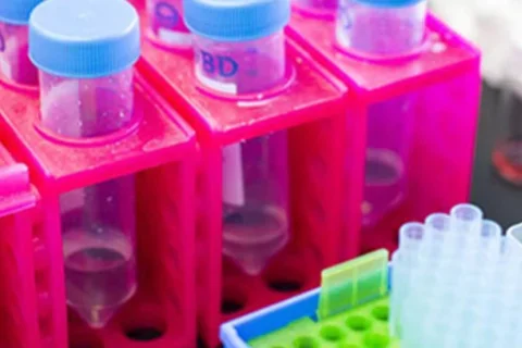 UC launches drug discovery consortium