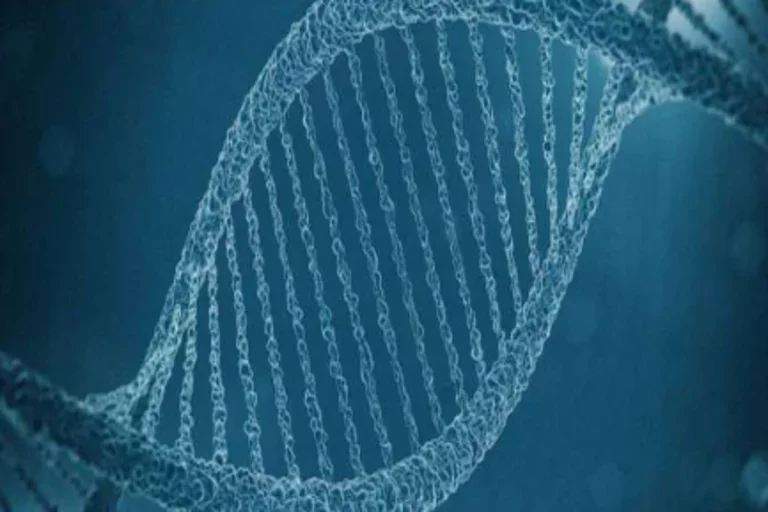 Precision medicine meets neurology at the Clinical Neurogenomics Research Center