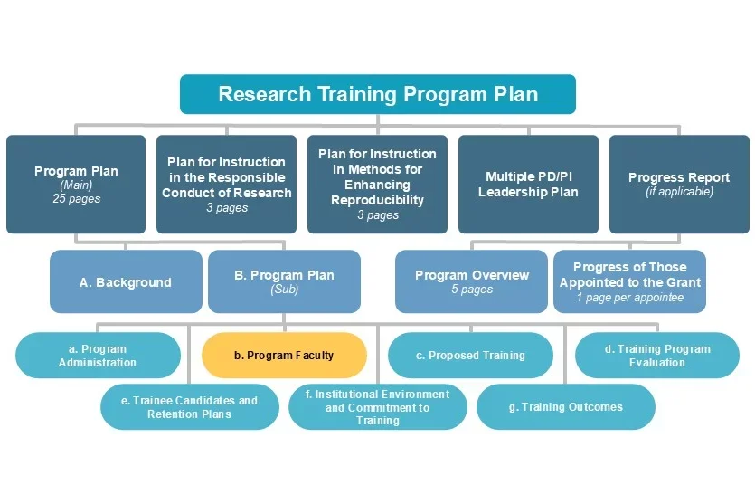 b. Program Faculty diagram