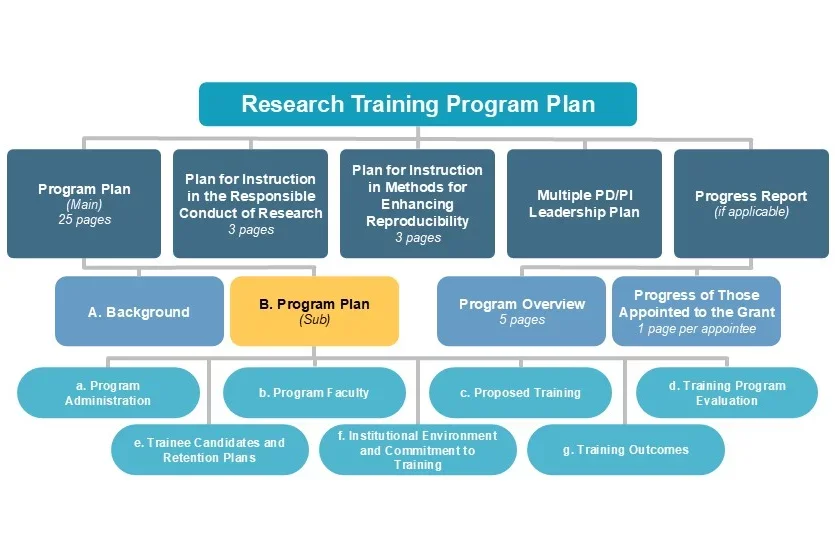 B. Program Plan (sub) diagram