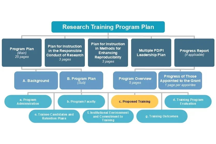 c. Proposed Training diagram