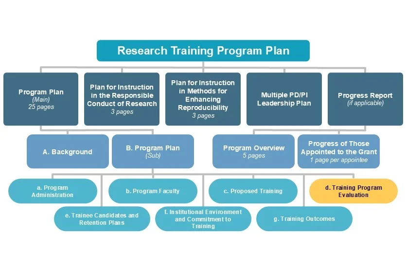 d. Training Program Evaluation diagram