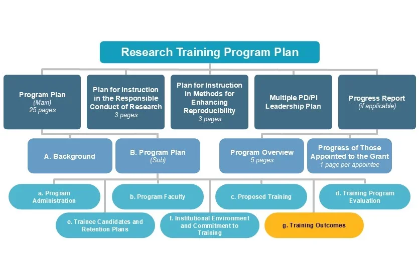 g. Trainee Outcomes diagram