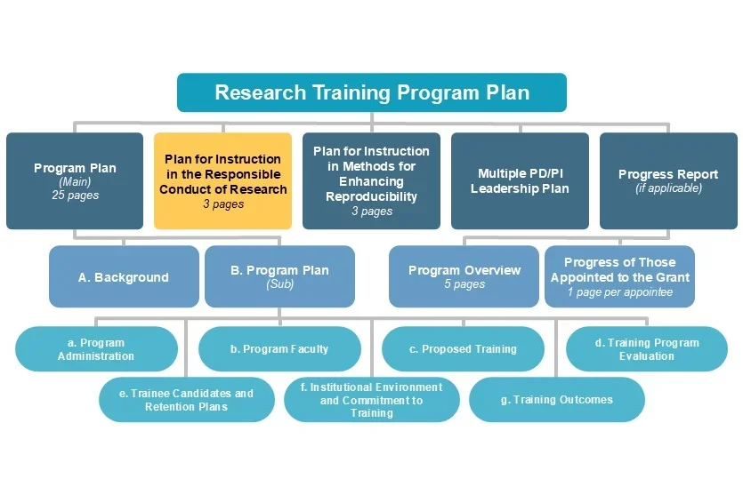 Plan for Instruction in the Responsible Conduct of Research diagram