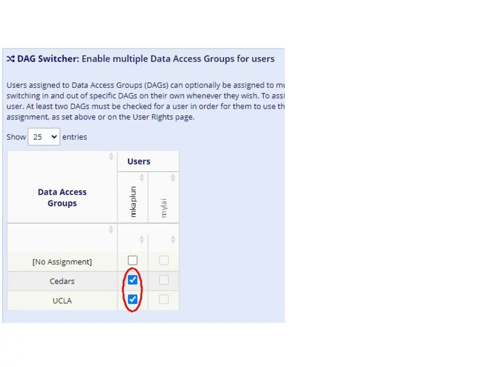 DAG switcher on REDCap training site