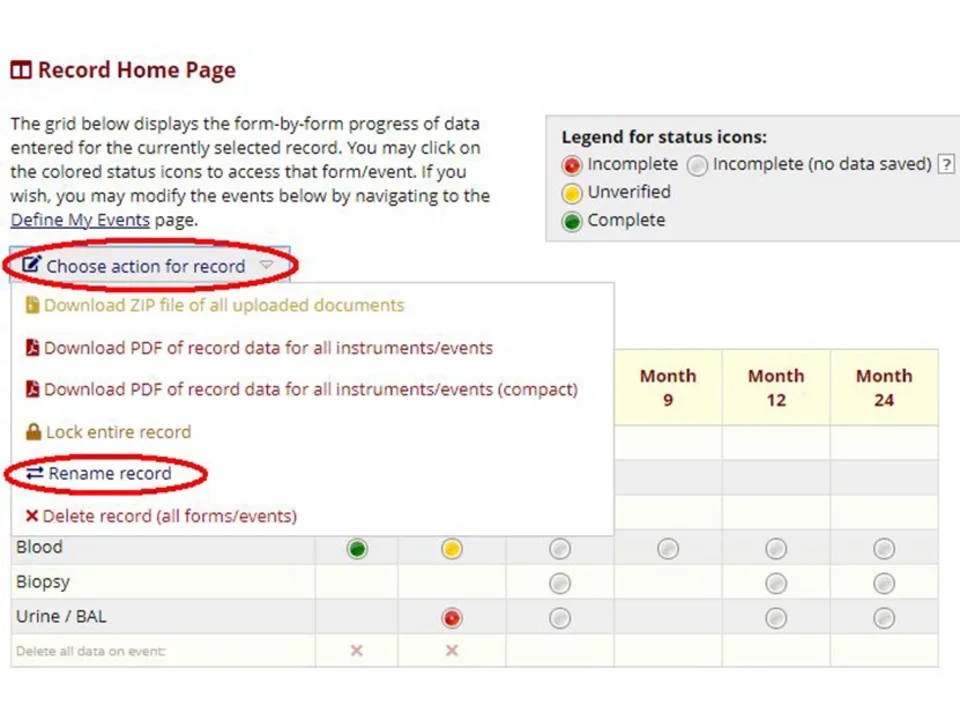 Rename record on REDCap training site