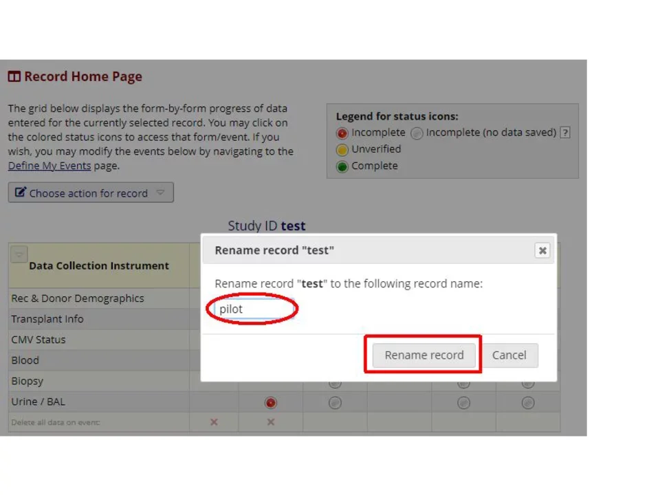 Rename record confirmation on REDCap training site