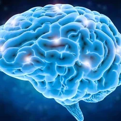 Brain_astrocyte