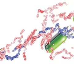 UCLA Engineering to Lead $1.6 Million Study of Bacteria Colonies
