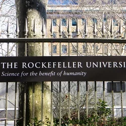 Loan forgiveness program for KL2-eligible clinical scholars Loan forgiveness program for KL2-eligible clinical scholars at Rockefeller Universityat Rockefeller University.JPG