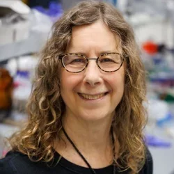 NACTS spotlights role of CTSI voucher program in telomerase discovery