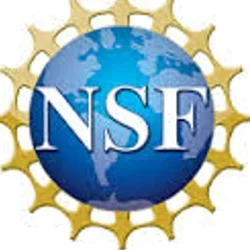 NSF