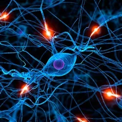 UC Launches New $4M Alzheimer's Disease Initiative.