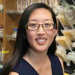 UCLA Researchers discover effective new antibiotic.