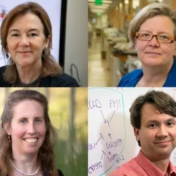 UCLA Scientists