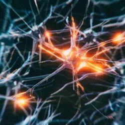 Neuron Unsplash