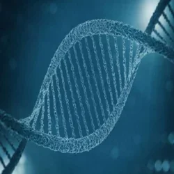 Precision medicine meets neurology at the Clinical Neurogenomics Research Center