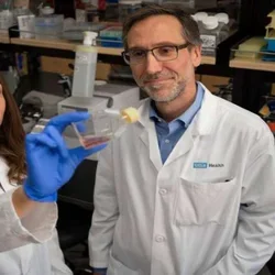 UCLA builds on history of success developing novel immunotherapies to treat cancer