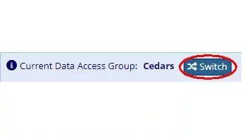 DAG Switcher for REDCap site