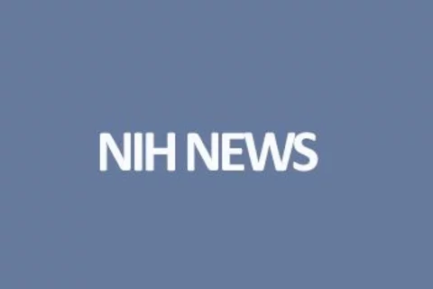 NIH Change to the Resubmission Policy