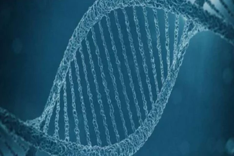 Precision medicine meets neurology at the Clinical Neurogenomics Research Center