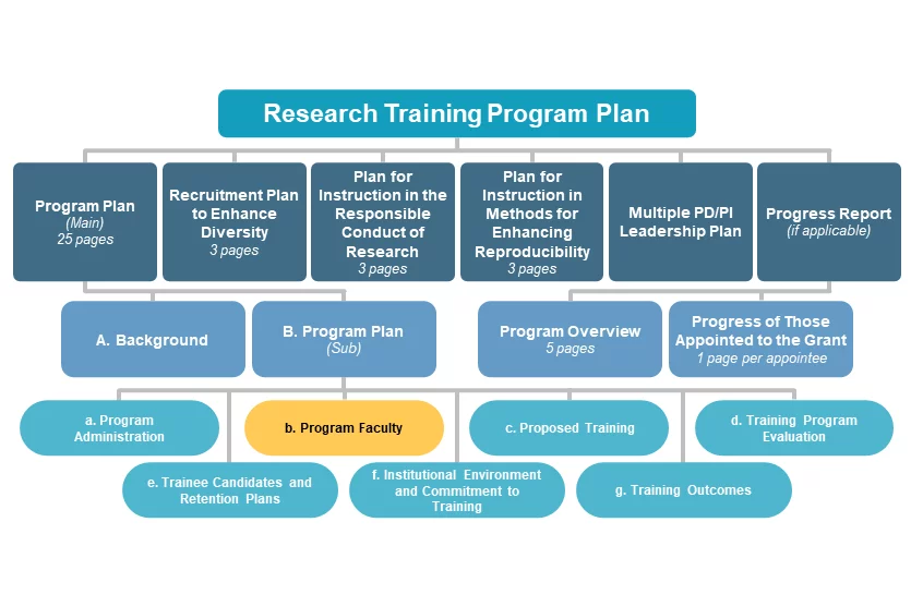 b. Program Faculty diagram
