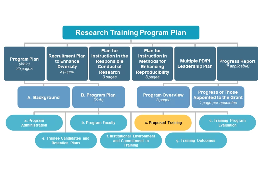 c. Proposed Training diagram