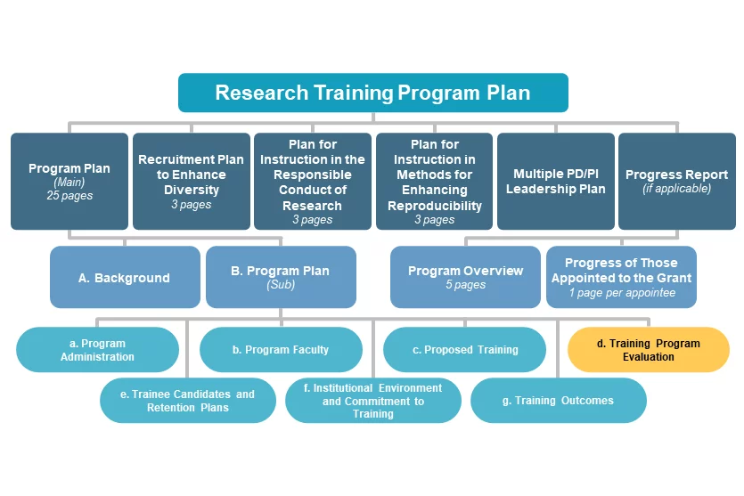 d. Training Program Evaluation diagram