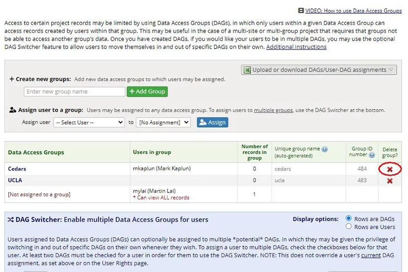 Deleting DAG on REDCap training site