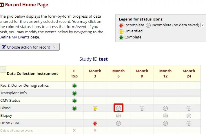 Open an instrument instructions in RedCap