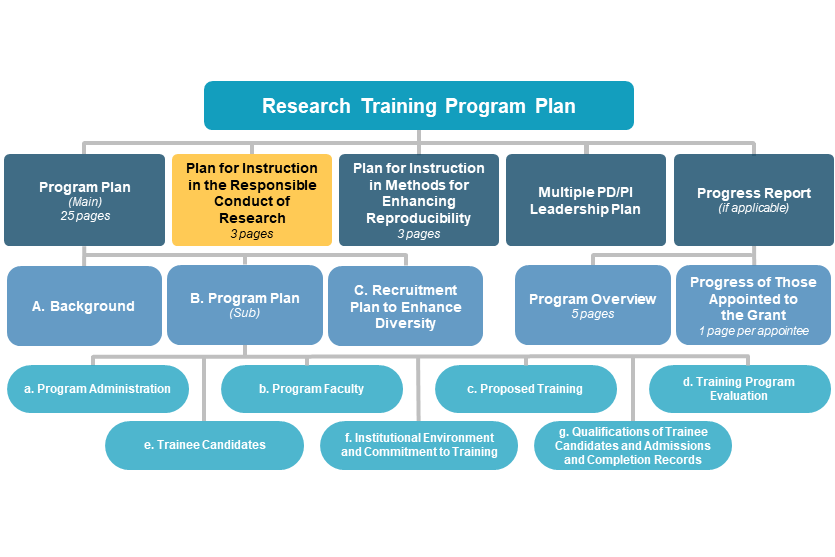 Plan for Instruction in the Responsible Conduct of Research diagram
