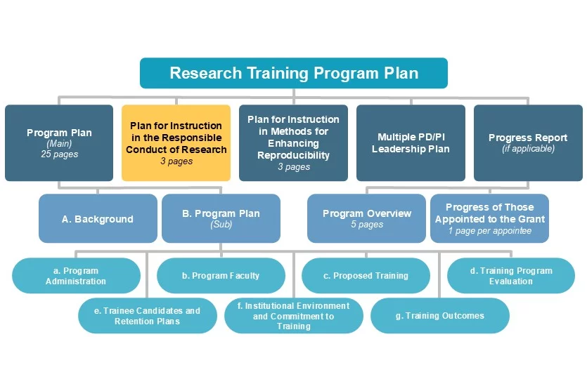 Plan for Instruction in the Responsible Conduct of Research diagram