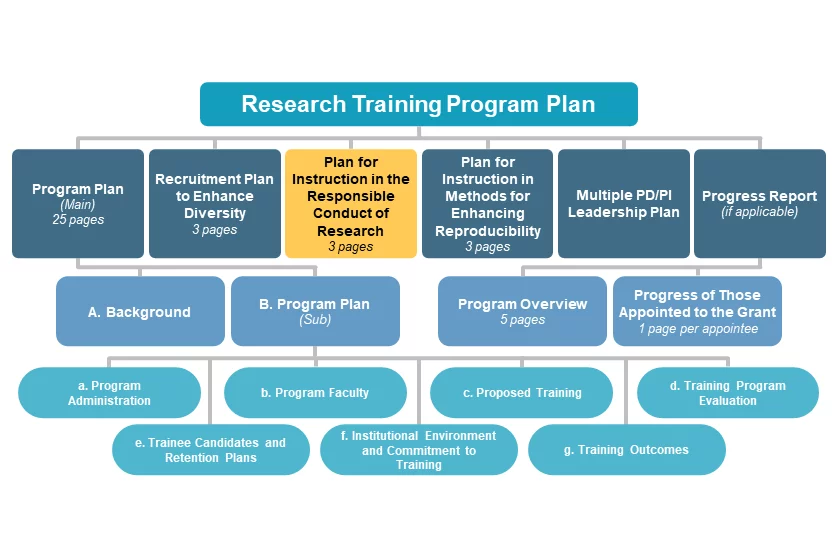 Plan for Instruction in the Responsible Conduct of Research diagram