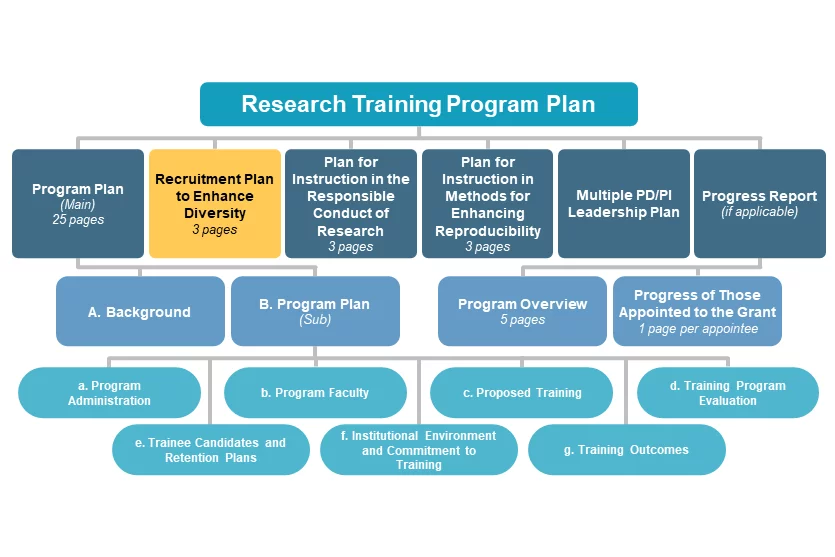 Recruitment Plan to Enhance Diversity diagram