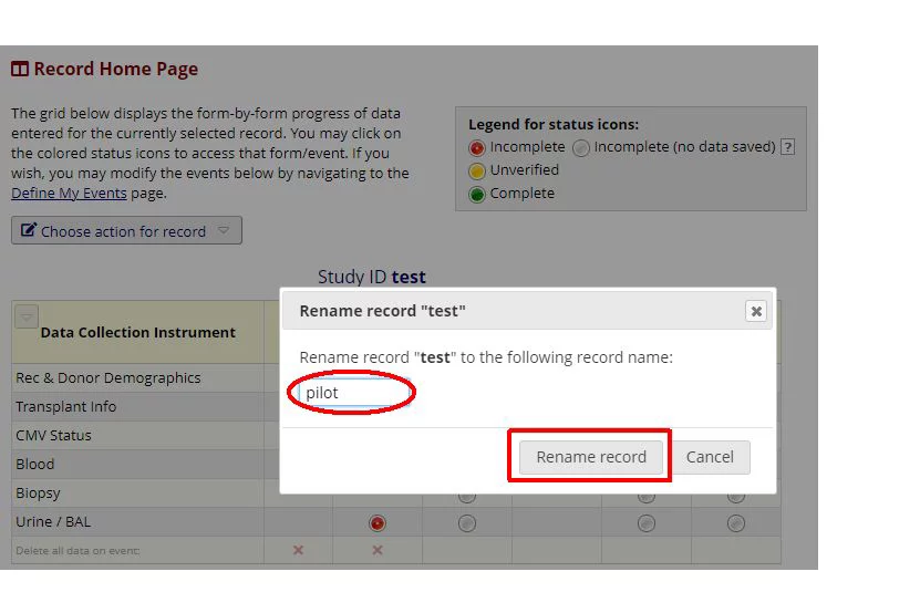 Rename record confirmation on REDCap training site